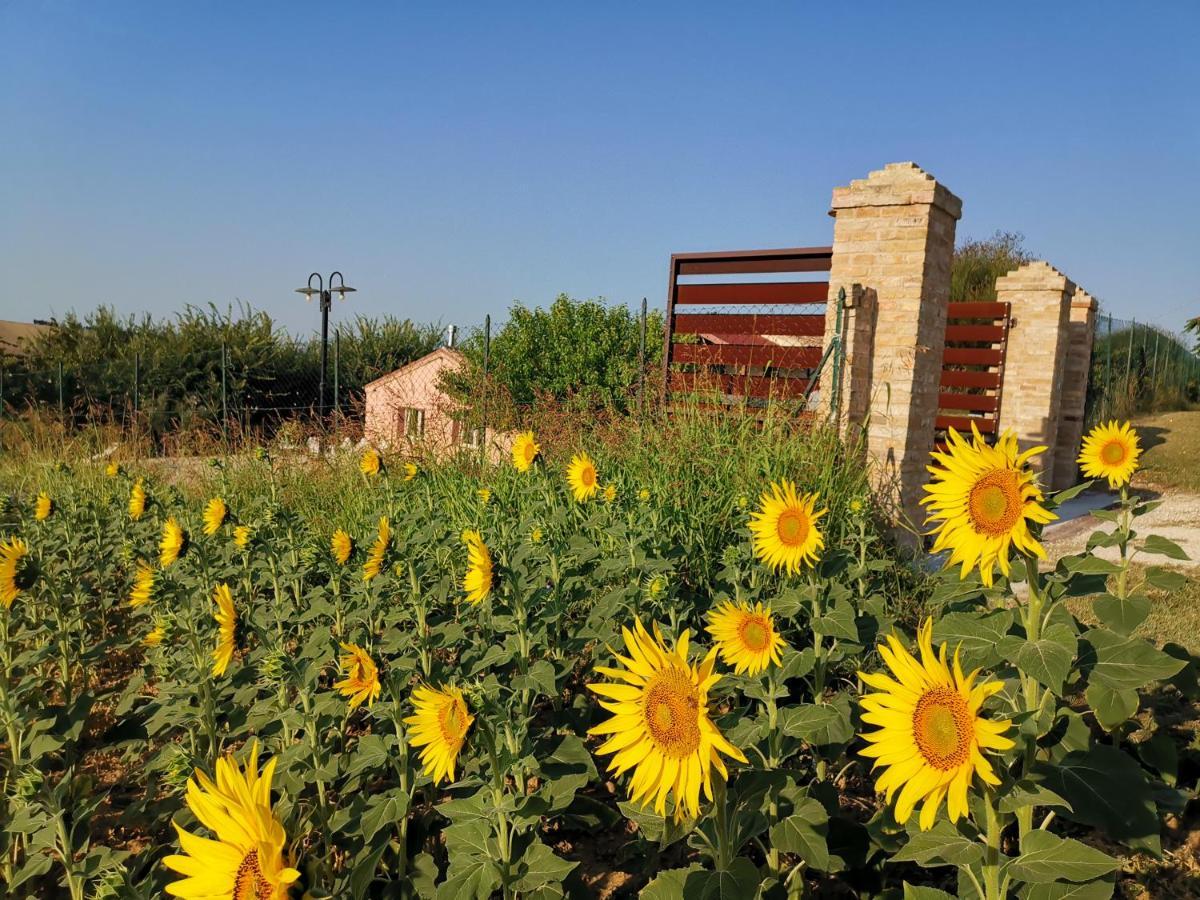 B&B Ceresa - Country House Лорето Экстерьер фото