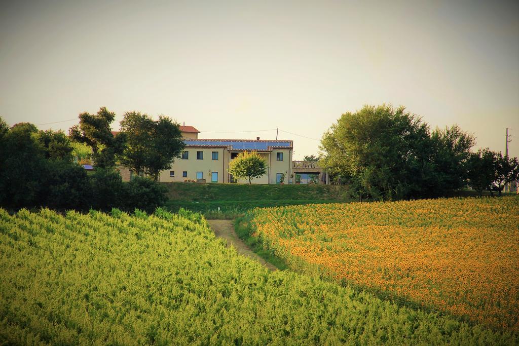 B&B Ceresa - Country House Лорето Экстерьер фото