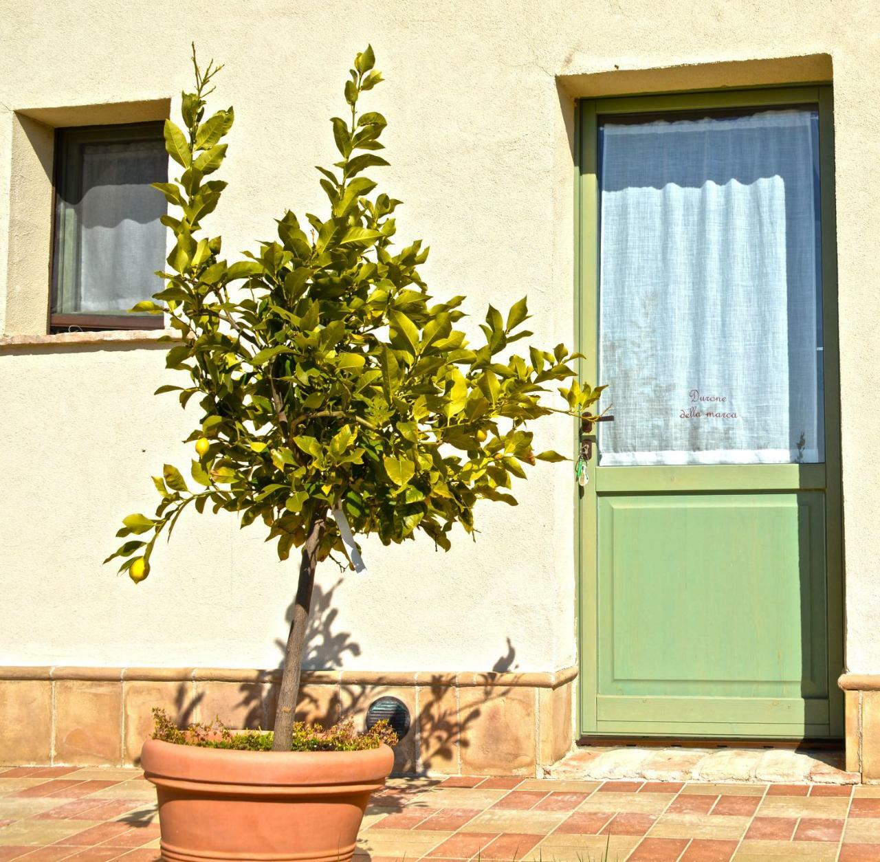 B&B Ceresa - Country House Лорето Экстерьер фото