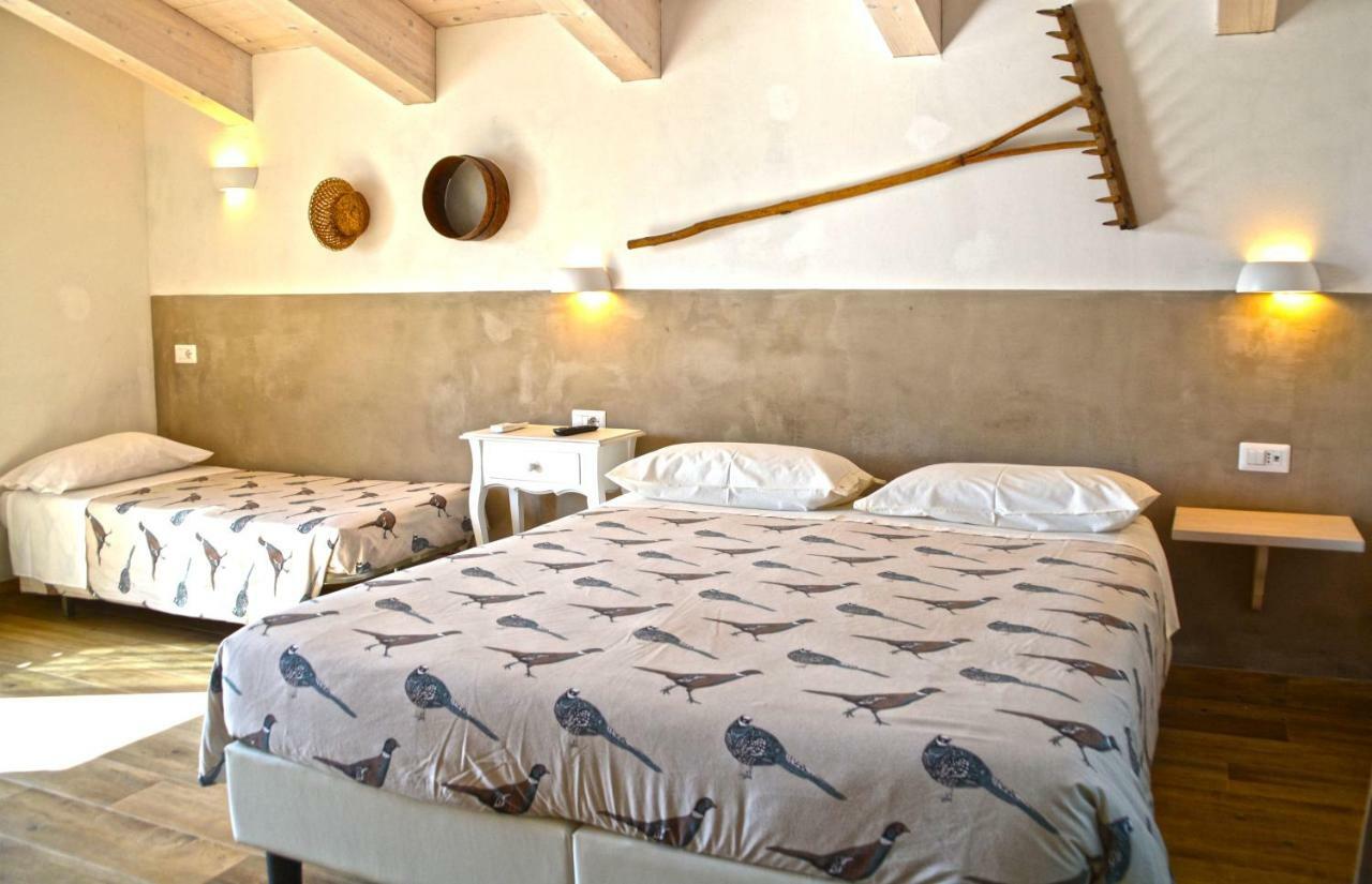 B&B Ceresa - Country House Лорето Экстерьер фото